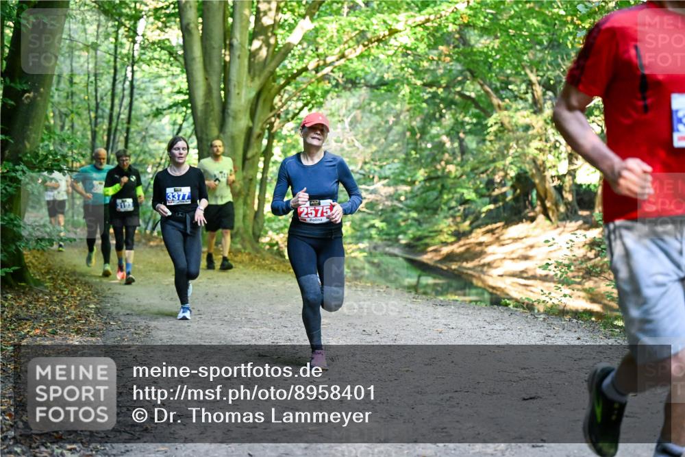 28.09.2025 - 33. Volkslauf durch das schöne Alstertal Dr. Thomas Lammeyer http://msf.ph/oto/8958401 28.09.2025 10:51:30 Laufen 3193, 3377, 2575 meine-sportfotos.de