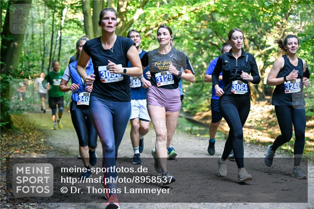 28.09.2025 - 33. Volkslauf durch das schöne Alstertal Dr. Thomas Lammeyer http://msf.ph/oto/8958537 28.09.2025 10:51:49 Laufen 340, 3050, 3949, 00000, 3129, 3064, 13242 meine-sportfotos.de
