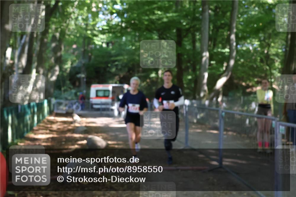 28.09.2025 - 33. Volkslauf durch das schöne Alstertal Strokosch-Dieckow http://msf.ph/oto/8958550 28.09.2025 13:20:52 Ziel 2473, 2474 meine-sportfotos.de