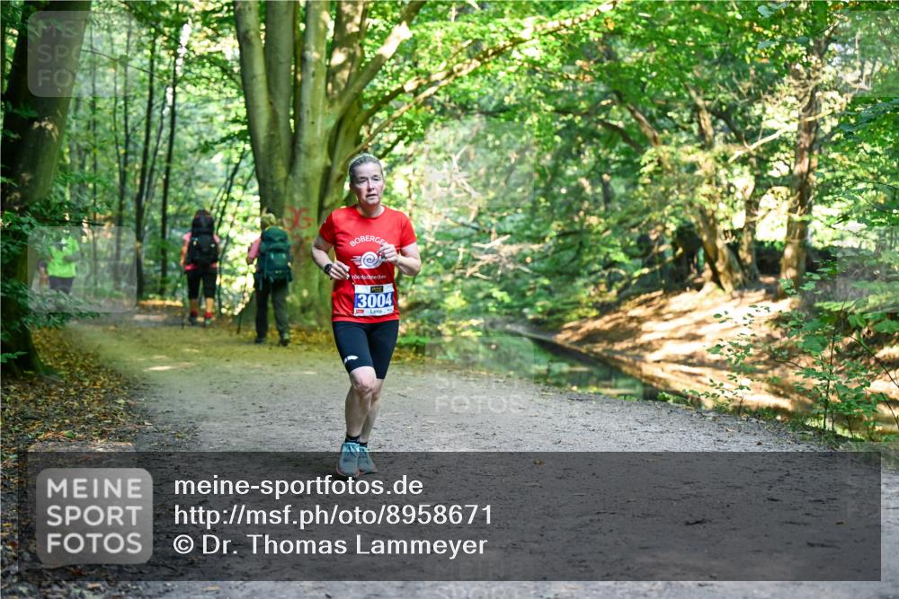 28.09.2025 - 33. Volkslauf durch das schöne Alstertal Dr. Thomas Lammeyer http://msf.ph/oto/8958671 28.09.2025 10:52:19 Laufen 13004 meine-sportfotos.de