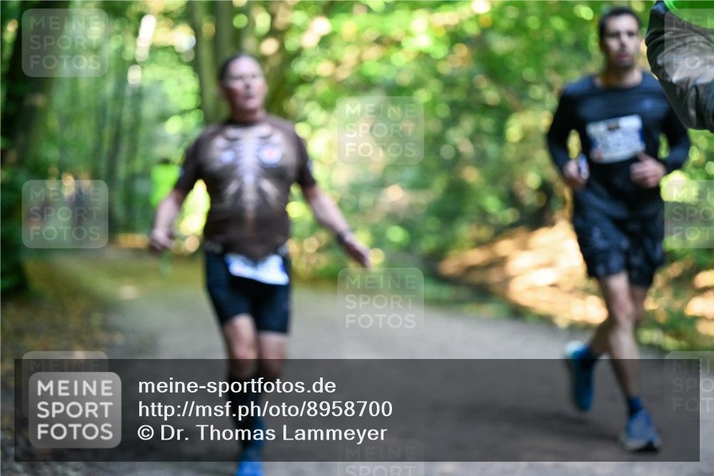 28.09.2025 - 33. Volkslauf durch das schöne Alstertal Dr. Thomas Lammeyer http://msf.ph/oto/8958700 28.09.2025 10:52:30 Laufen  meine-sportfotos.de