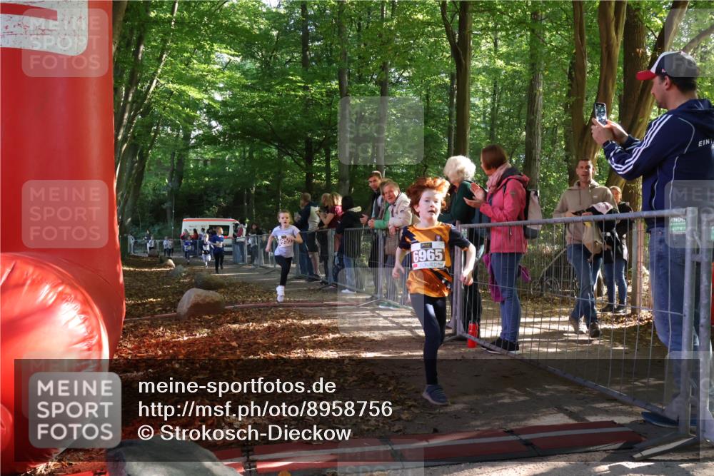 28.09.2025 - 33. Volkslauf durch das schöne Alstertal Strokosch-Dieckow http://msf.ph/oto/8958756 28.09.2025 10:42:02 Ziel  meine-sportfotos.de