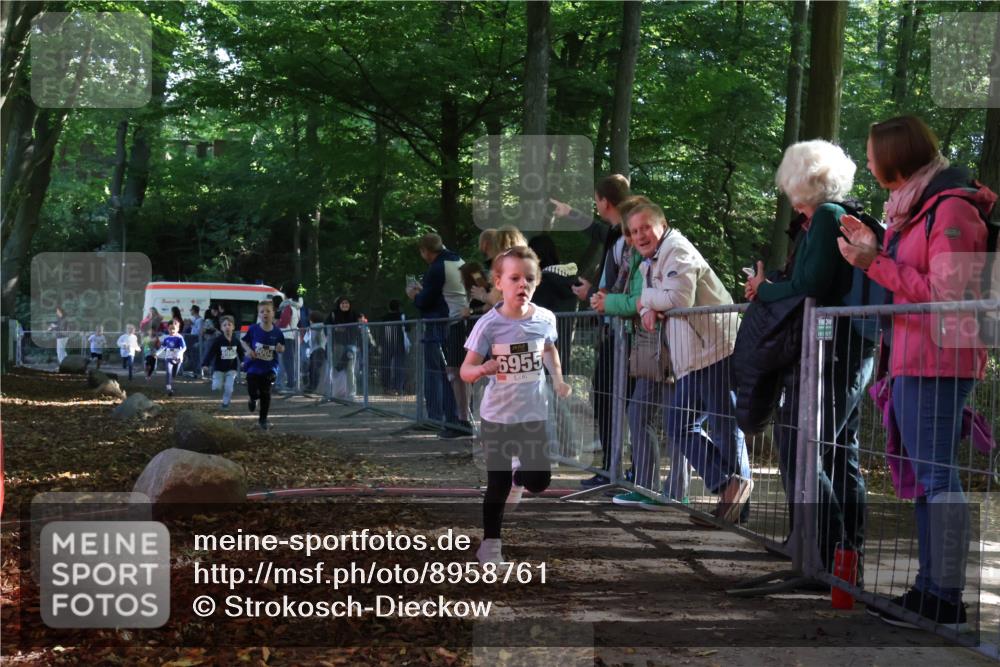 28.09.2025 - 33. Volkslauf durch das schöne Alstertal Strokosch-Dieckow http://msf.ph/oto/8958761 28.09.2025 10:42:02 Ziel  meine-sportfotos.de