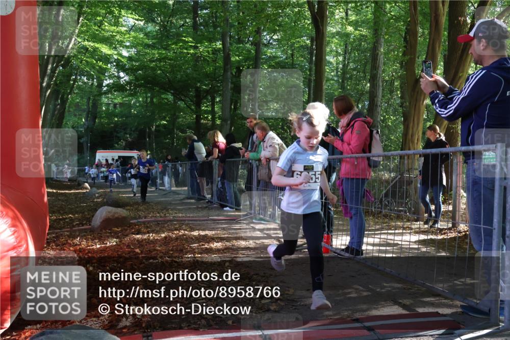 28.09.2025 - 33. Volkslauf durch das schöne Alstertal Strokosch-Dieckow http://msf.ph/oto/8958766 28.09.2025 10:42:03 Ziel  meine-sportfotos.de