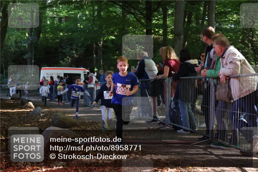 28.09.2025 - 33. Volkslauf durch das schöne Alstertal Strokosch-Dieckow http://msf.ph/oto/8958771 28.09.2025 10:42:05 Ziel  meine-sportfotos.de