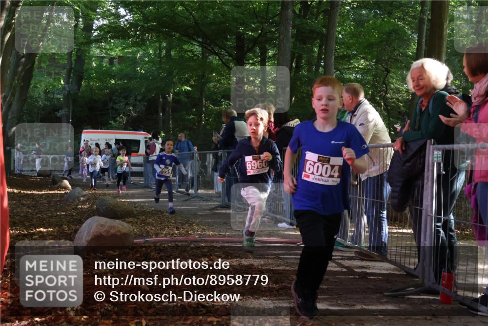 28.09.2025 - 33. Volkslauf durch das schöne Alstertal Strokosch-Dieckow http://msf.ph/oto/8958779 28.09.2025 10:42:06 Ziel  meine-sportfotos.de