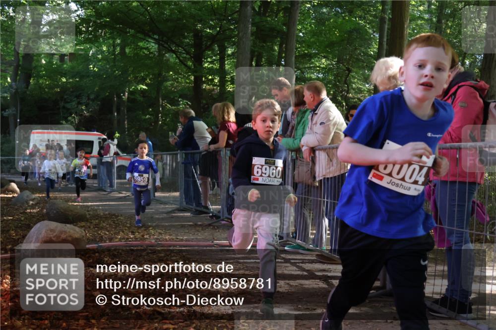 28.09.2025 - 33. Volkslauf durch das schöne Alstertal Strokosch-Dieckow http://msf.ph/oto/8958781 28.09.2025 10:42:06 Ziel  meine-sportfotos.de