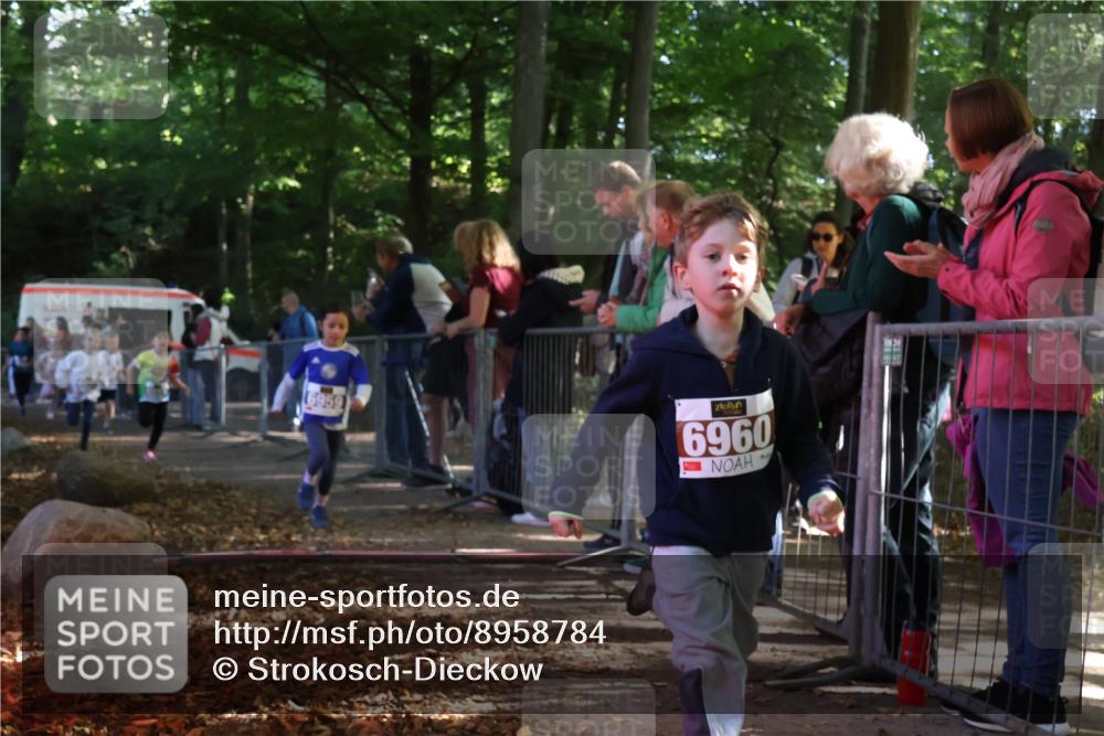 28.09.2025 - 33. Volkslauf durch das schöne Alstertal Strokosch-Dieckow http://msf.ph/oto/8958784 28.09.2025 10:42:06 Ziel  meine-sportfotos.de