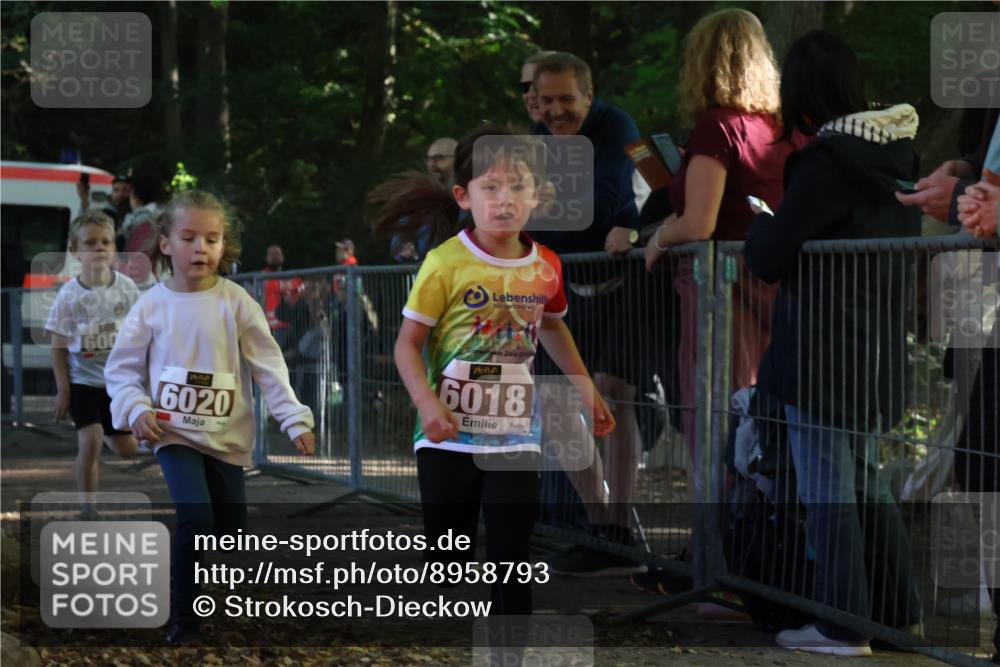 28.09.2025 - 33. Volkslauf durch das schöne Alstertal Strokosch-Dieckow http://msf.ph/oto/8958793 28.09.2025 10:42:09 Ziel  meine-sportfotos.de