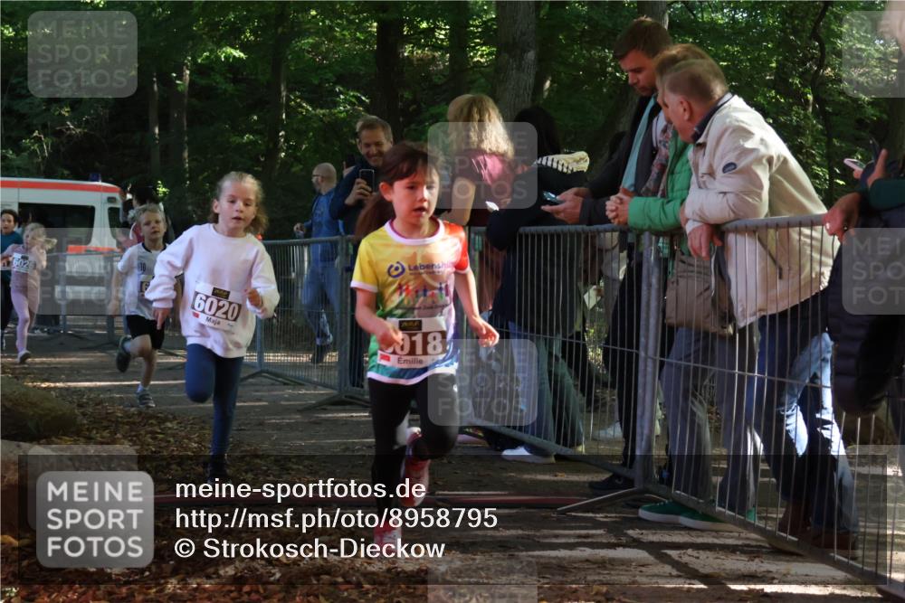 28.09.2025 - 33. Volkslauf durch das schöne Alstertal Strokosch-Dieckow http://msf.ph/oto/8958795 28.09.2025 10:42:09 Ziel  meine-sportfotos.de