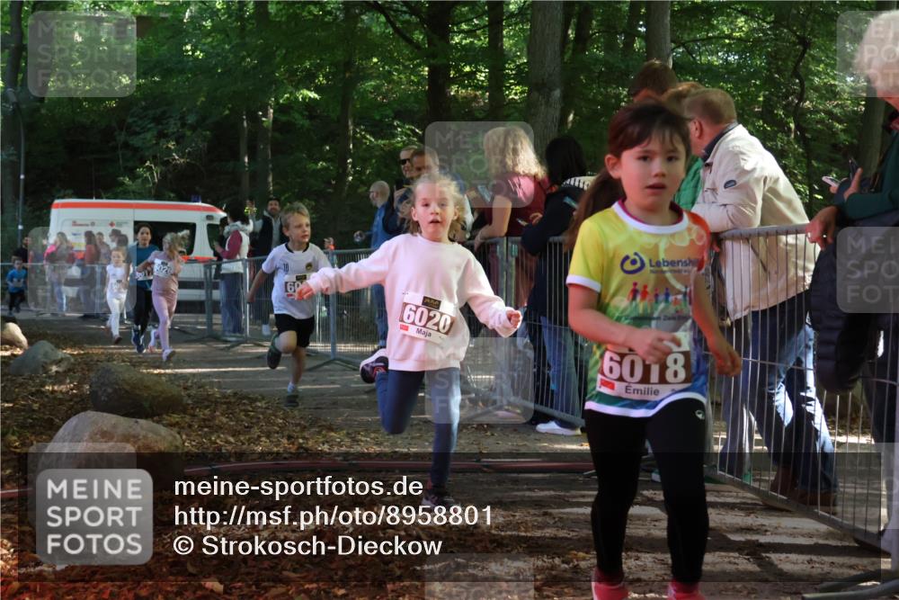 28.09.2025 - 33. Volkslauf durch das schöne Alstertal Strokosch-Dieckow http://msf.ph/oto/8958801 28.09.2025 10:42:10 Ziel  meine-sportfotos.de