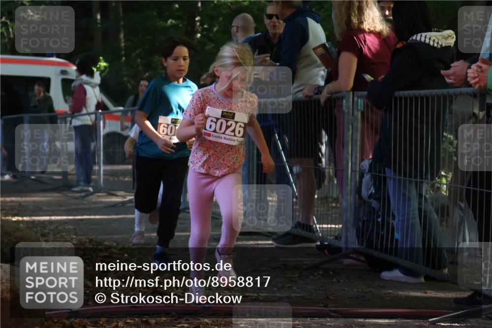 28.09.2025 - 33. Volkslauf durch das schöne Alstertal Strokosch-Dieckow http://msf.ph/oto/8958817 28.09.2025 10:42:13 Ziel  meine-sportfotos.de