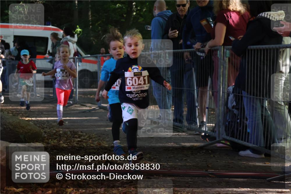 28.09.2025 - 33. Volkslauf durch das schöne Alstertal Strokosch-Dieckow http://msf.ph/oto/8958830 28.09.2025 10:42:17 Ziel  meine-sportfotos.de