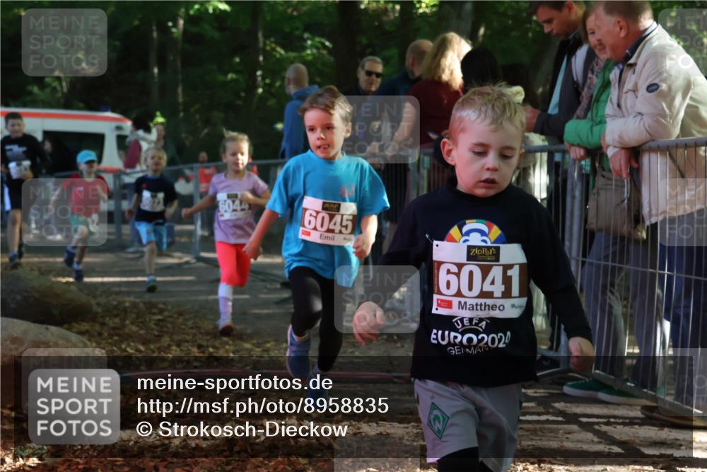 28.09.2025 - 33. Volkslauf durch das schöne Alstertal Strokosch-Dieckow http://msf.ph/oto/8958835 28.09.2025 10:42:18 Ziel  meine-sportfotos.de