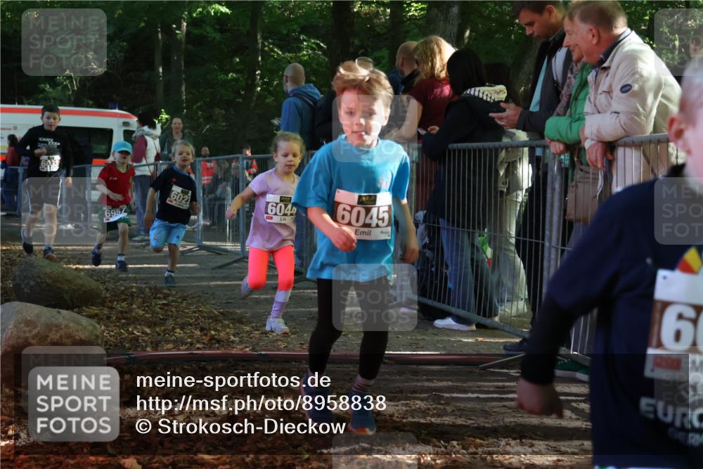 28.09.2025 - 33. Volkslauf durch das schöne Alstertal Strokosch-Dieckow http://msf.ph/oto/8958838 28.09.2025 10:42:19 Ziel  meine-sportfotos.de