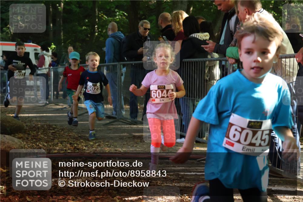 28.09.2025 - 33. Volkslauf durch das schöne Alstertal Strokosch-Dieckow http://msf.ph/oto/8958843 28.09.2025 10:42:19 Ziel  meine-sportfotos.de