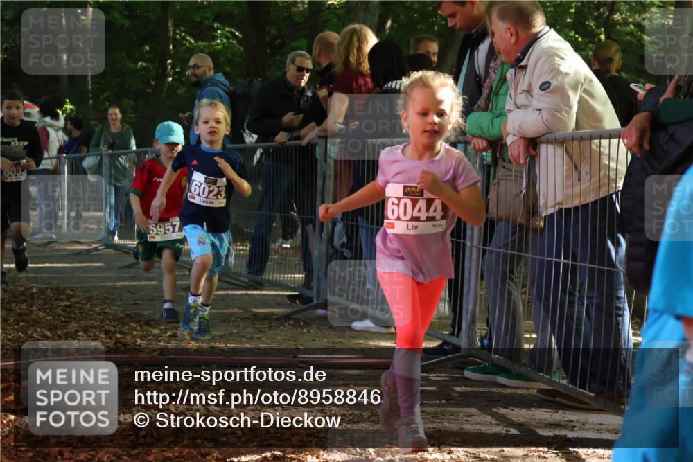 28.09.2025 - 33. Volkslauf durch das schöne Alstertal Strokosch-Dieckow http://msf.ph/oto/8958846 28.09.2025 10:42:20 Ziel  meine-sportfotos.de