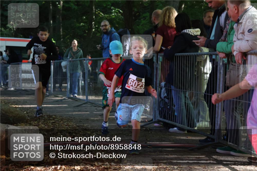 28.09.2025 - 33. Volkslauf durch das schöne Alstertal Strokosch-Dieckow http://msf.ph/oto/8958848 28.09.2025 10:42:20 Ziel  meine-sportfotos.de