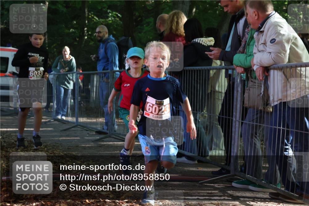 28.09.2025 - 33. Volkslauf durch das schöne Alstertal Strokosch-Dieckow http://msf.ph/oto/8958850 28.09.2025 10:42:21 Ziel  meine-sportfotos.de