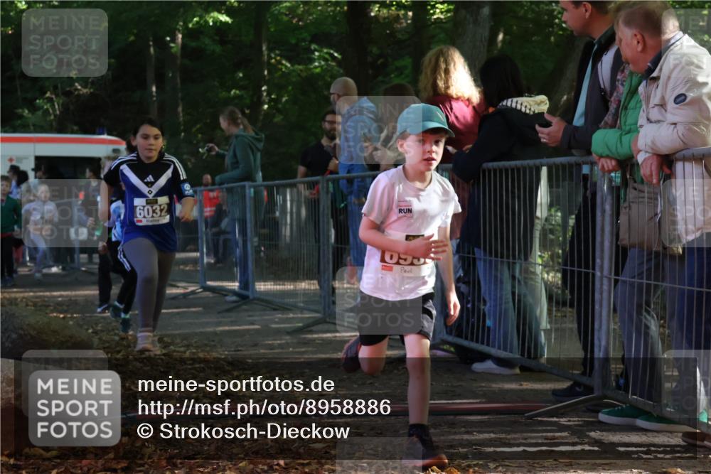28.09.2025 - 33. Volkslauf durch das schöne Alstertal Strokosch-Dieckow http://msf.ph/oto/8958886 28.09.2025 10:42:29 Ziel  meine-sportfotos.de