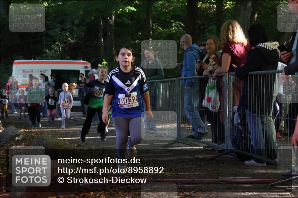 28.09.2025 - 33. Volkslauf durch das schöne Alstertal Strokosch-Dieckow http://msf.ph/oto/8958892 28.09.2025 10:42:30 Ziel  meine-sportfotos.de
