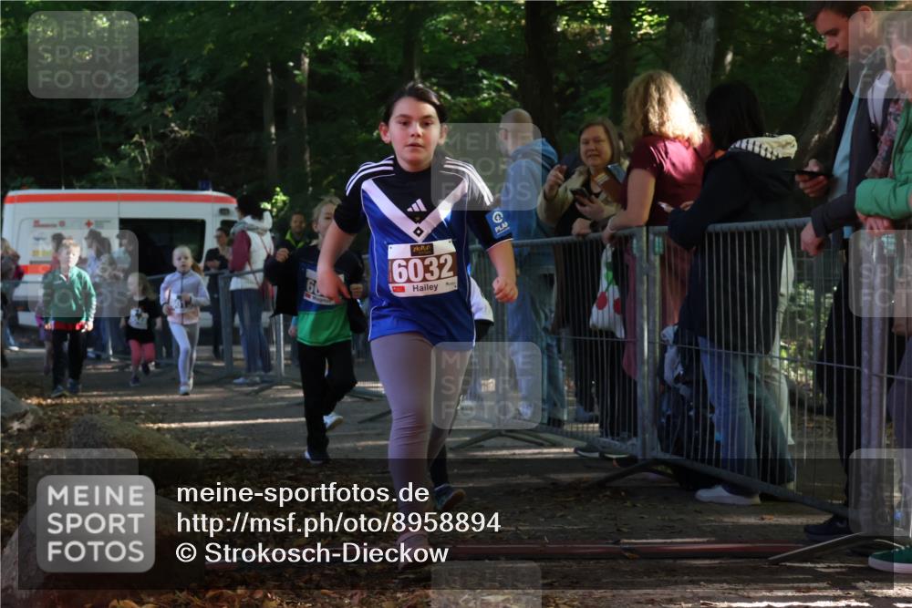 28.09.2025 - 33. Volkslauf durch das schöne Alstertal Strokosch-Dieckow http://msf.ph/oto/8958894 28.09.2025 10:42:30 Ziel  meine-sportfotos.de