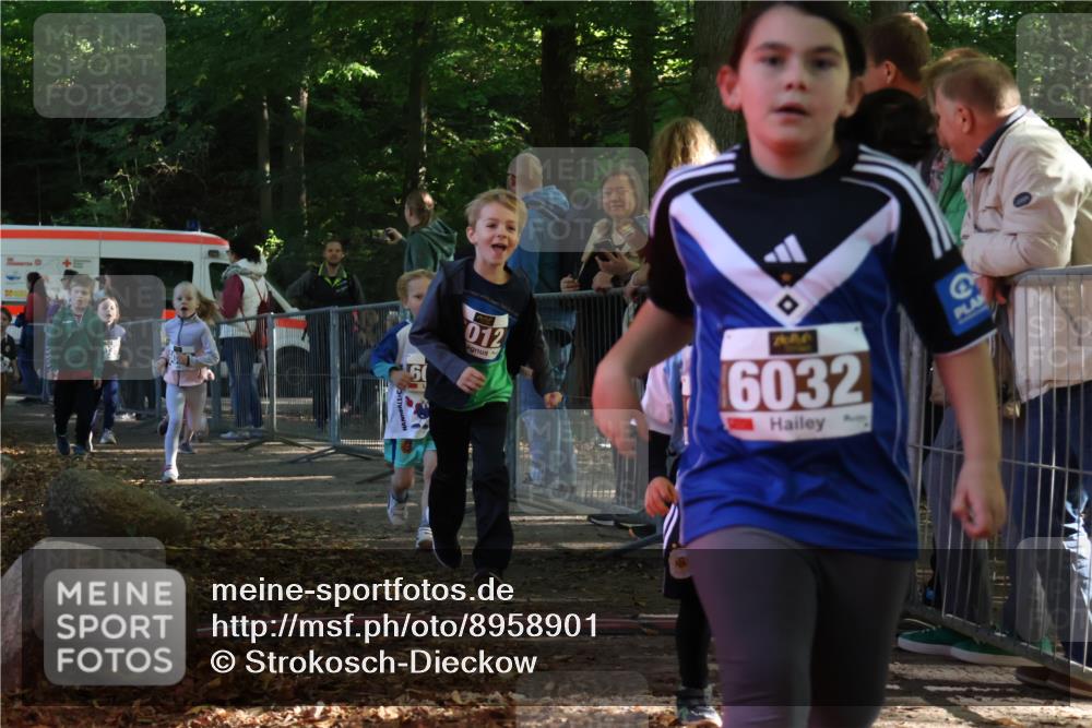 28.09.2025 - 33. Volkslauf durch das schöne Alstertal Strokosch-Dieckow http://msf.ph/oto/8958901 28.09.2025 10:42:31 Ziel  meine-sportfotos.de