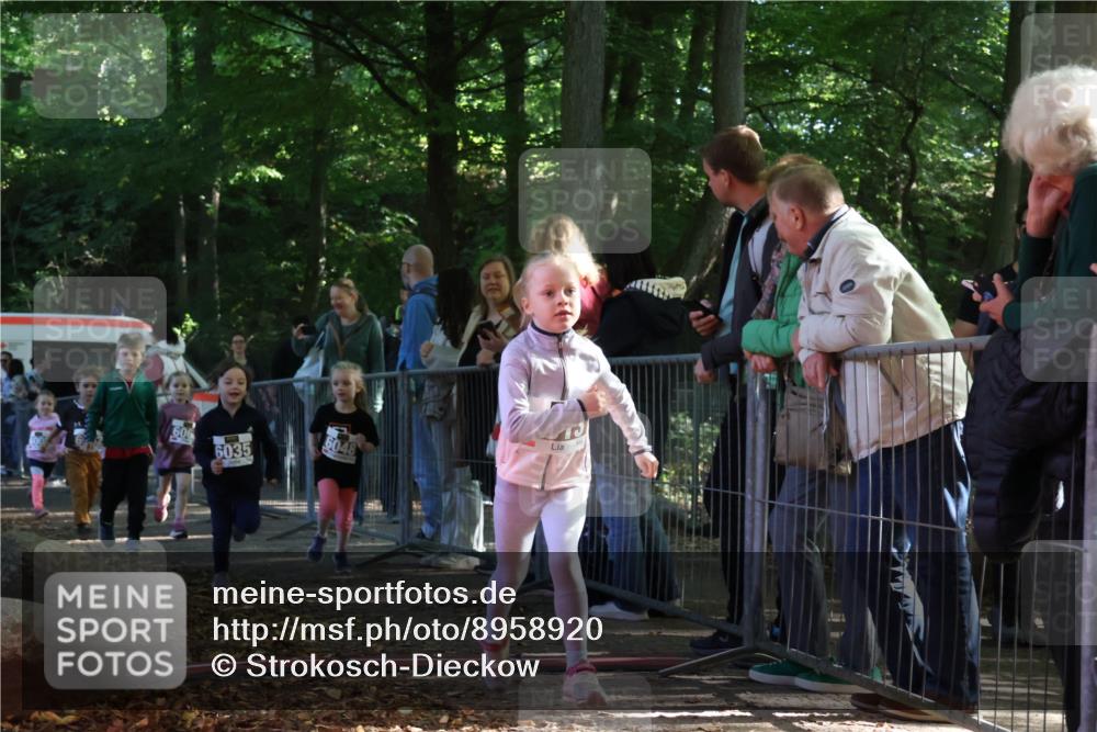 28.09.2025 - 33. Volkslauf durch das schöne Alstertal Strokosch-Dieckow http://msf.ph/oto/8958920 28.09.2025 10:42:35 Ziel  meine-sportfotos.de