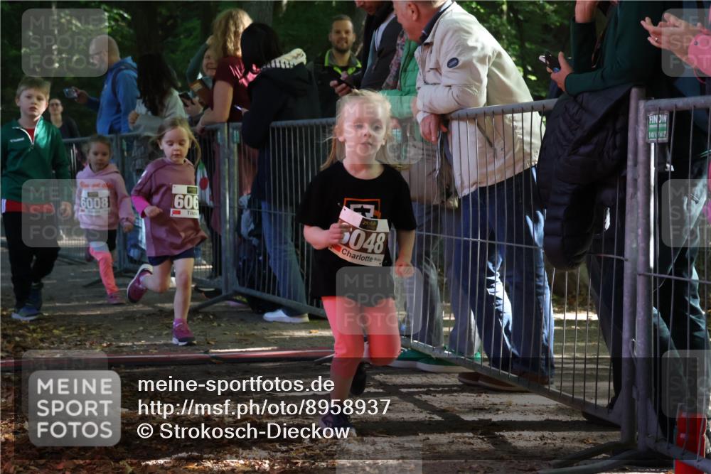 28.09.2025 - 33. Volkslauf durch das schöne Alstertal Strokosch-Dieckow http://msf.ph/oto/8958937 28.09.2025 10:42:38 Ziel  meine-sportfotos.de