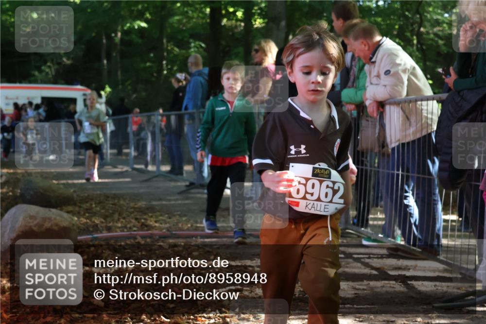 28.09.2025 - 33. Volkslauf durch das schöne Alstertal Strokosch-Dieckow http://msf.ph/oto/8958948 28.09.2025 10:42:40 Ziel  meine-sportfotos.de