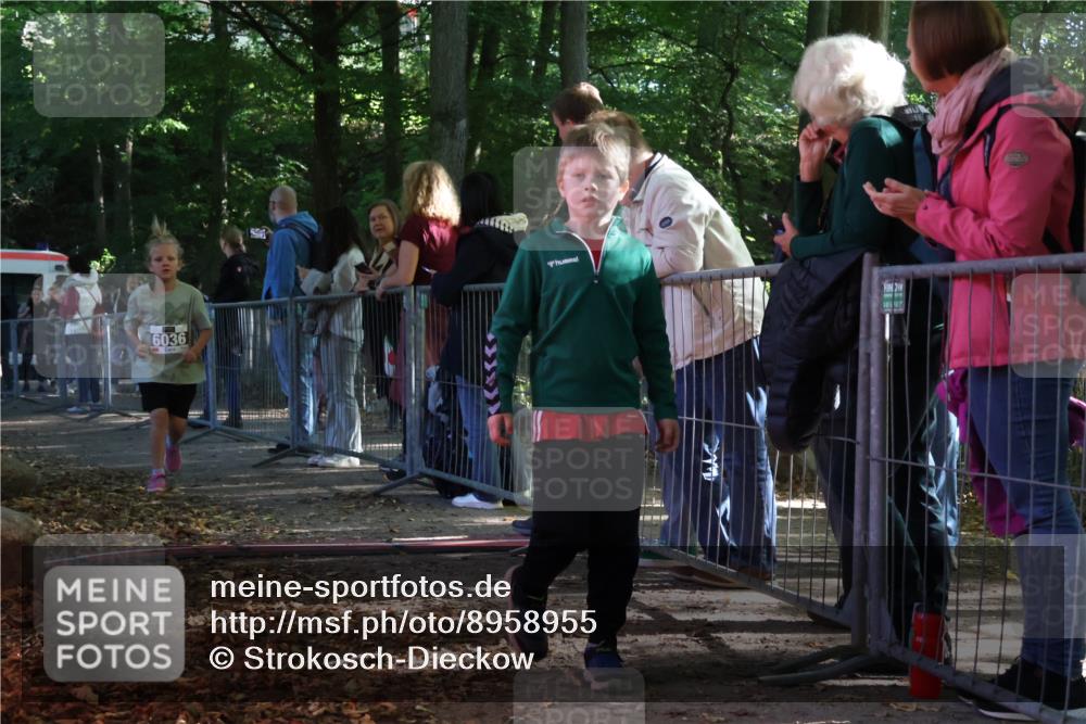 28.09.2025 - 33. Volkslauf durch das schöne Alstertal Strokosch-Dieckow http://msf.ph/oto/8958955 28.09.2025 10:42:42 Ziel  meine-sportfotos.de