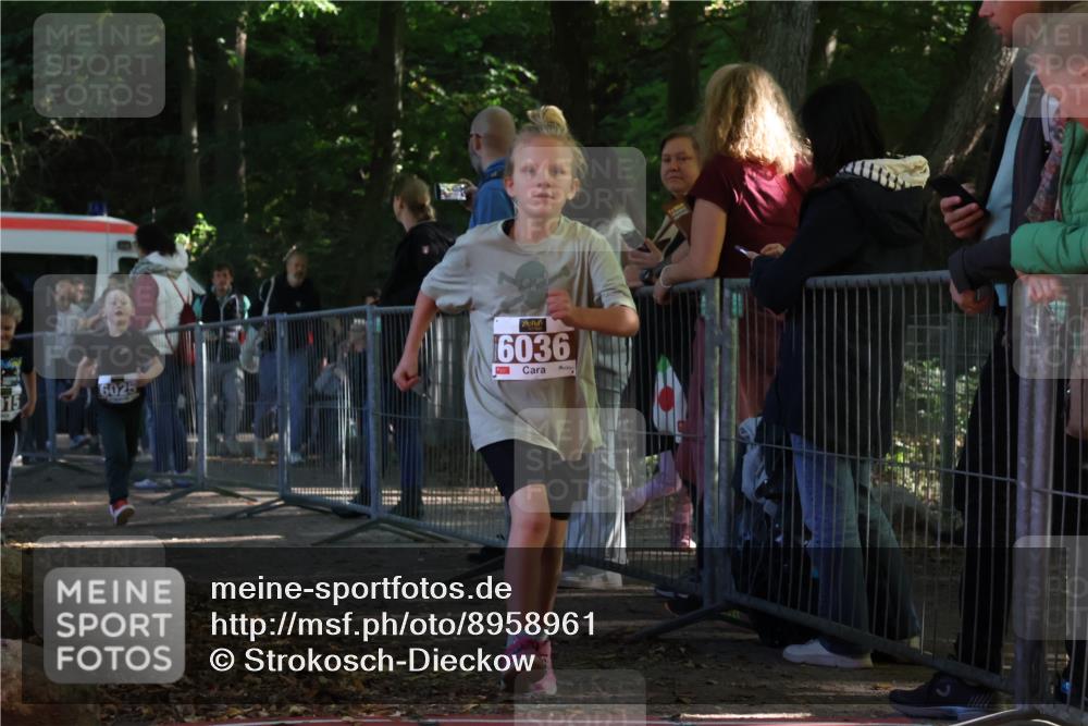 28.09.2025 - 33. Volkslauf durch das schöne Alstertal Strokosch-Dieckow http://msf.ph/oto/8958961 28.09.2025 10:42:43 Ziel  meine-sportfotos.de