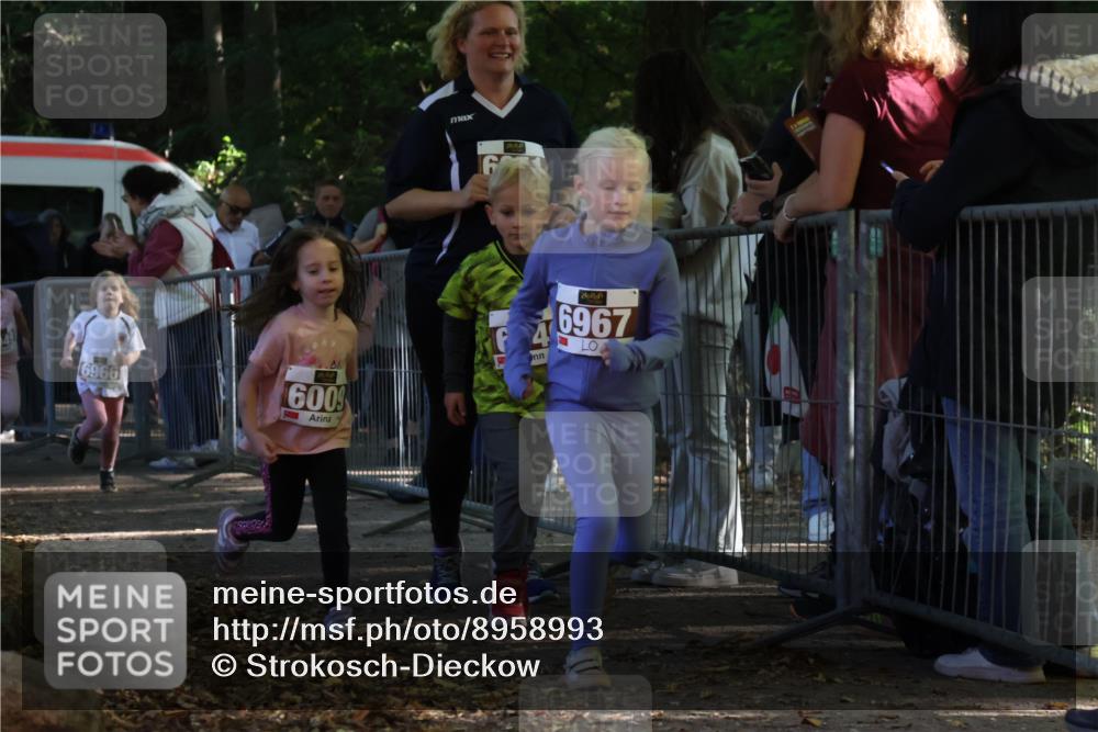 28.09.2025 - 33. Volkslauf durch das schöne Alstertal Strokosch-Dieckow http://msf.ph/oto/8958993 28.09.2025 10:42:51 Ziel  meine-sportfotos.de