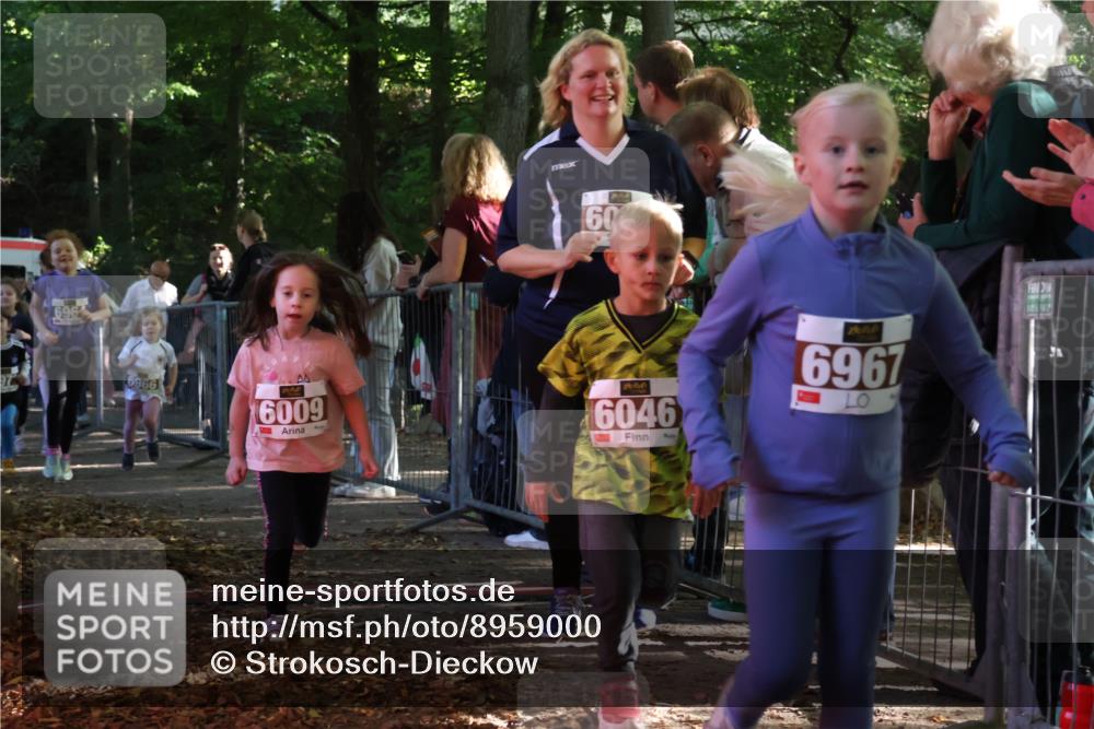 28.09.2025 - 33. Volkslauf durch das schöne Alstertal Strokosch-Dieckow http://msf.ph/oto/8959000 28.09.2025 10:42:53 Ziel  meine-sportfotos.de