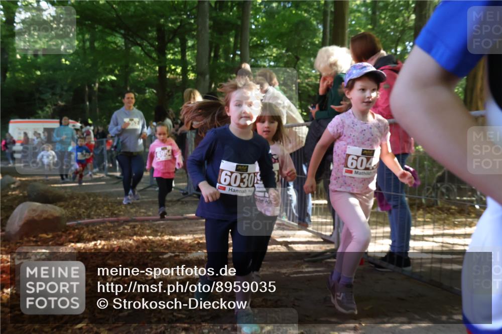 28.09.2025 - 33. Volkslauf durch das schöne Alstertal Strokosch-Dieckow http://msf.ph/oto/8959035 28.09.2025 10:42:59 Ziel  meine-sportfotos.de