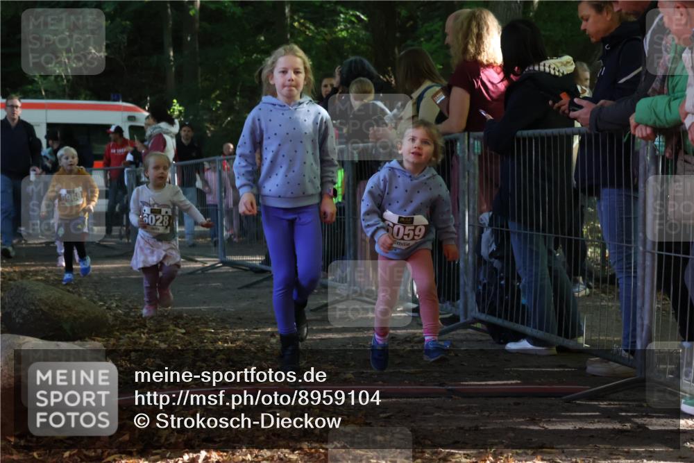 28.09.2025 - 33. Volkslauf durch das schöne Alstertal Strokosch-Dieckow http://msf.ph/oto/8959104 28.09.2025 10:43:19 Ziel  meine-sportfotos.de