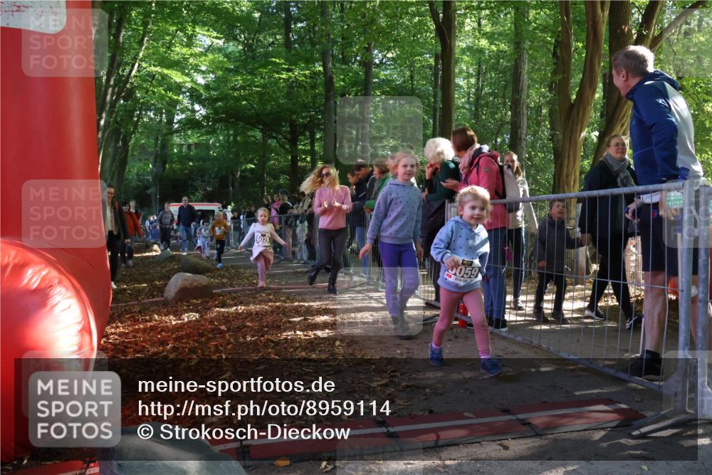 28.09.2025 - 33. Volkslauf durch das schöne Alstertal Strokosch-Dieckow http://msf.ph/oto/8959114 28.09.2025 10:43:22 Ziel  meine-sportfotos.de