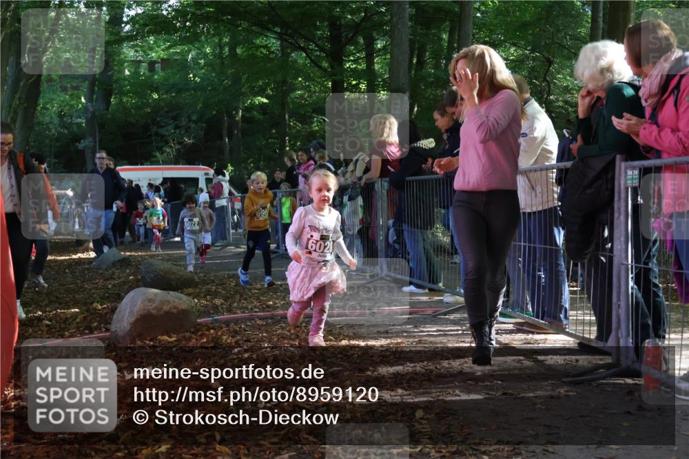 28.09.2025 - 33. Volkslauf durch das schöne Alstertal Strokosch-Dieckow http://msf.ph/oto/8959120 28.09.2025 10:43:22 Ziel  meine-sportfotos.de