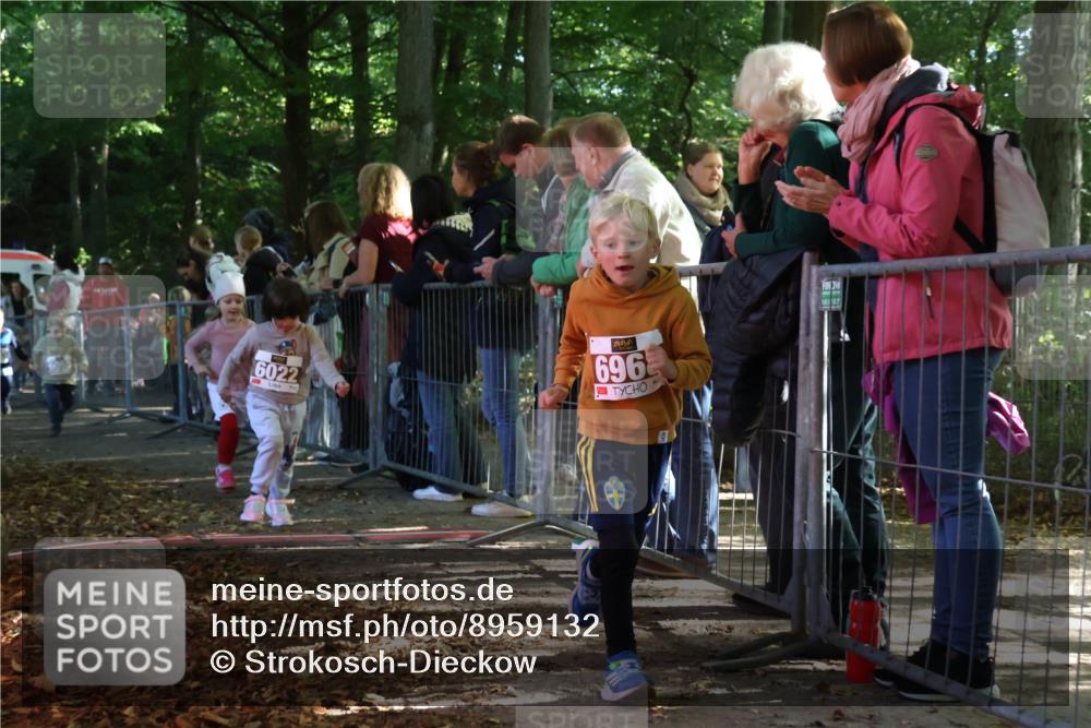 28.09.2025 - 33. Volkslauf durch das schöne Alstertal Strokosch-Dieckow http://msf.ph/oto/8959132 28.09.2025 10:43:25 Ziel  meine-sportfotos.de