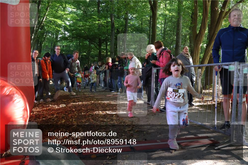 28.09.2025 - 33. Volkslauf durch das schöne Alstertal Strokosch-Dieckow http://msf.ph/oto/8959148 28.09.2025 10:43:28 Ziel  meine-sportfotos.de