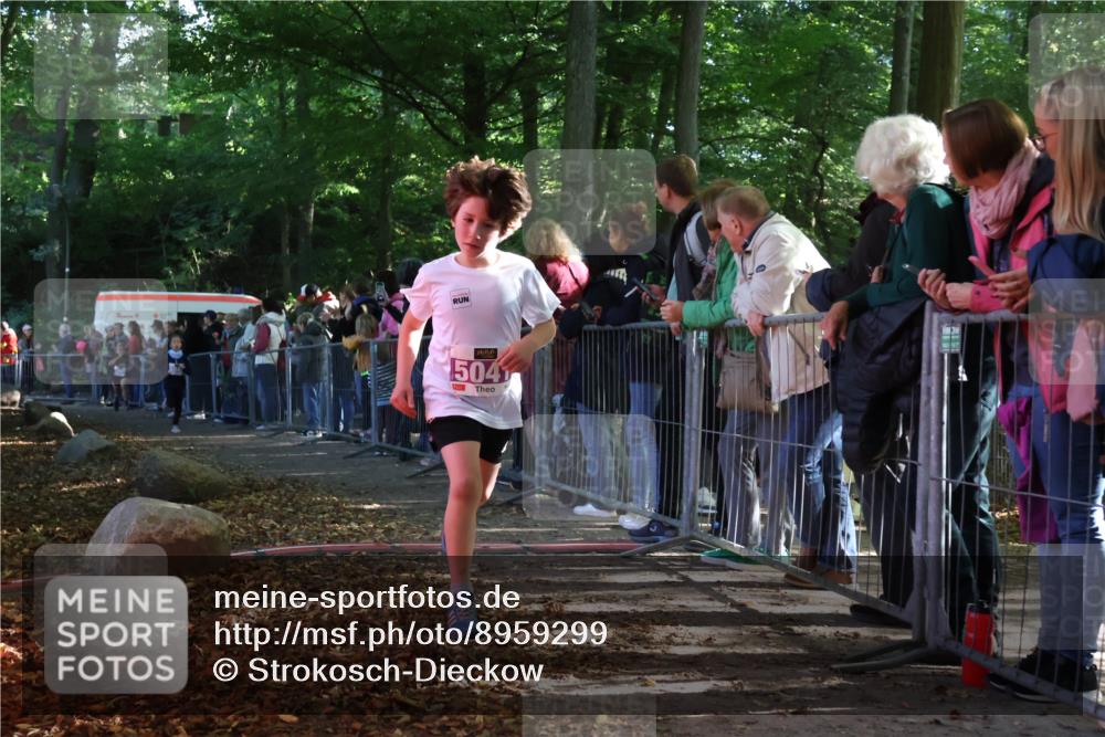 28.09.2025 - 33. Volkslauf durch das schöne Alstertal Strokosch-Dieckow http://msf.ph/oto/8959299 28.09.2025 10:44:45 Ziel 5025, 5041, 5045 meine-sportfotos.de