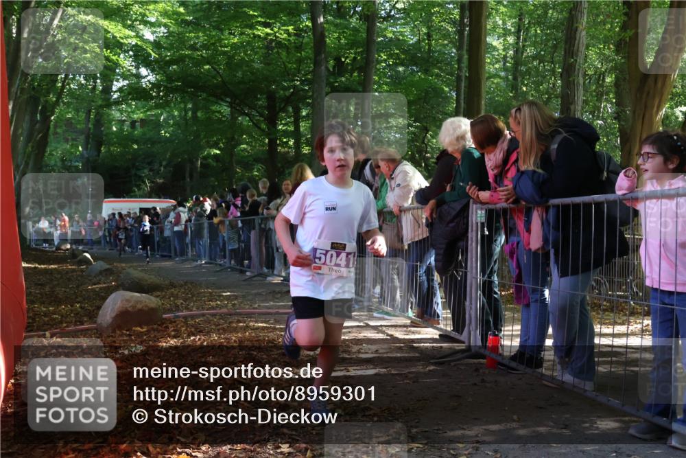 28.09.2025 - 33. Volkslauf durch das schöne Alstertal Strokosch-Dieckow http://msf.ph/oto/8959301 28.09.2025 10:44:45 Ziel 5025, 5041, 5045 meine-sportfotos.de