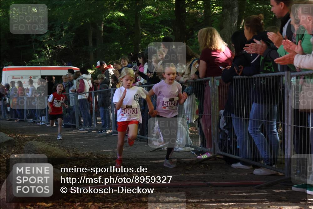 28.09.2025 - 33. Volkslauf durch das schöne Alstertal Strokosch-Dieckow http://msf.ph/oto/8959327 28.09.2025 10:45:07 Ziel 5003, 5021, 5046 meine-sportfotos.de