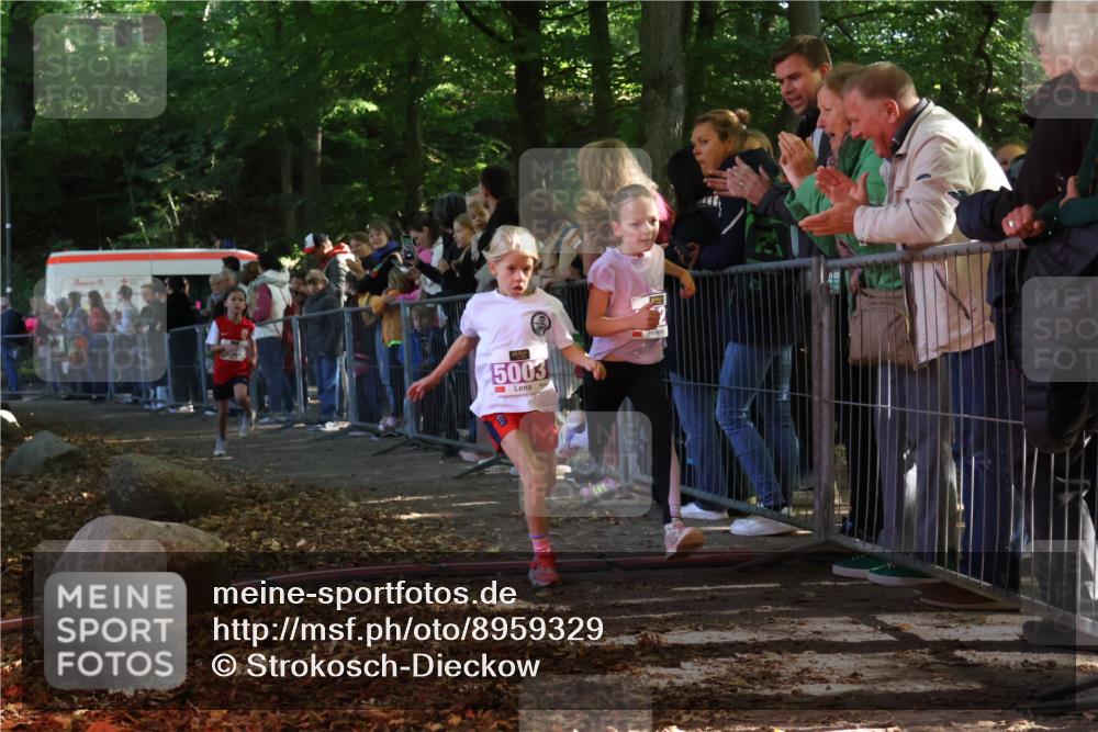 28.09.2025 - 33. Volkslauf durch das schöne Alstertal Strokosch-Dieckow http://msf.ph/oto/8959329 28.09.2025 10:45:07 Ziel 5003, 5021, 5046 meine-sportfotos.de