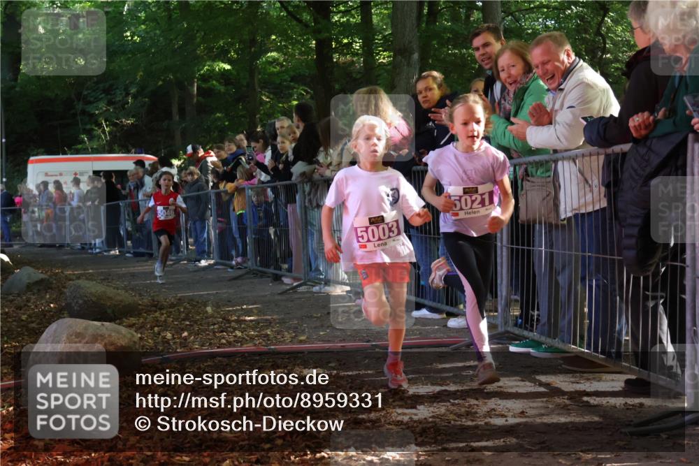 28.09.2025 - 33. Volkslauf durch das schöne Alstertal Strokosch-Dieckow http://msf.ph/oto/8959331 28.09.2025 10:45:08 Ziel 5003, 5021, 5046 meine-sportfotos.de