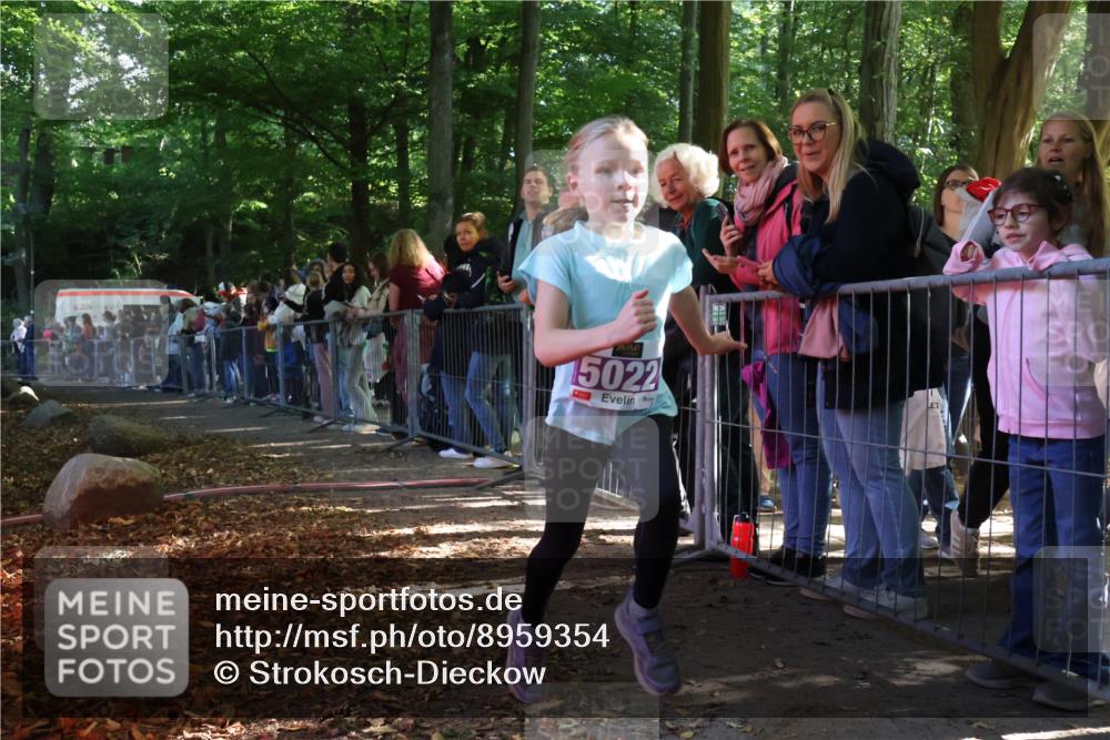 28.09.2025 - 33. Volkslauf durch das schöne Alstertal Strokosch-Dieckow http://msf.ph/oto/8959354 28.09.2025 10:45:19 Ziel 5001, 5022 meine-sportfotos.de