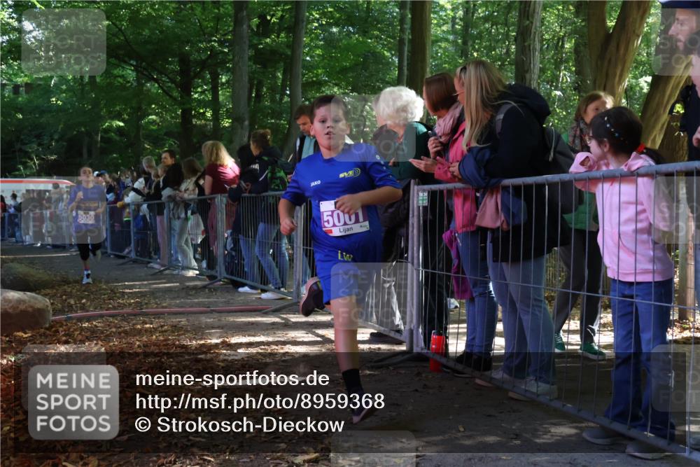 28.09.2025 - 33. Volkslauf durch das schöne Alstertal Strokosch-Dieckow http://msf.ph/oto/8959368 28.09.2025 10:45:27 Ziel 5001, 5030, 5044 meine-sportfotos.de