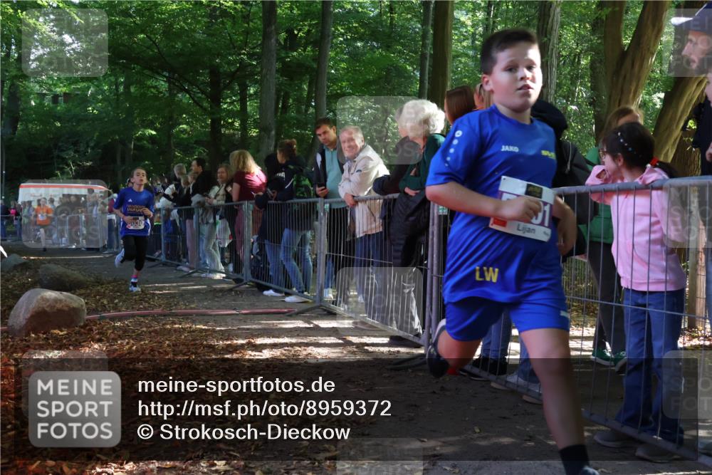 28.09.2025 - 33. Volkslauf durch das schöne Alstertal Strokosch-Dieckow http://msf.ph/oto/8959372 28.09.2025 10:45:27 Ziel 5001, 5030, 5044 meine-sportfotos.de