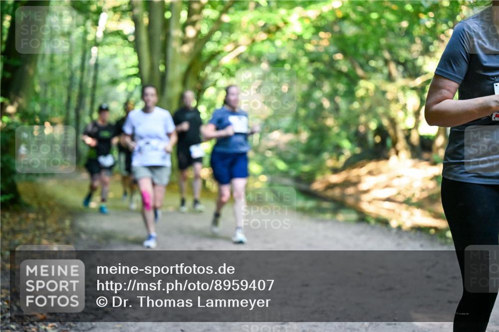28.09.2025 - 33. Volkslauf durch das schöne Alstertal Dr. Thomas Lammeyer http://msf.ph/oto/8959407 28.09.2025 10:54:01 Laufen  meine-sportfotos.de