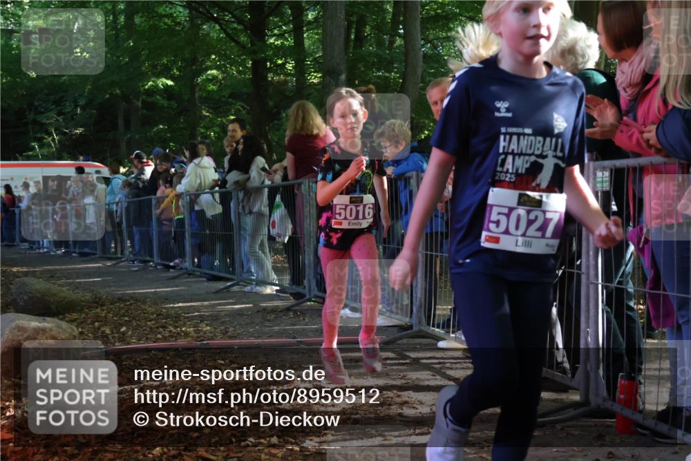 28.09.2025 - 33. Volkslauf durch das schöne Alstertal Strokosch-Dieckow http://msf.ph/oto/8959512 28.09.2025 10:45:57 Ziel 5016, 5027 meine-sportfotos.de